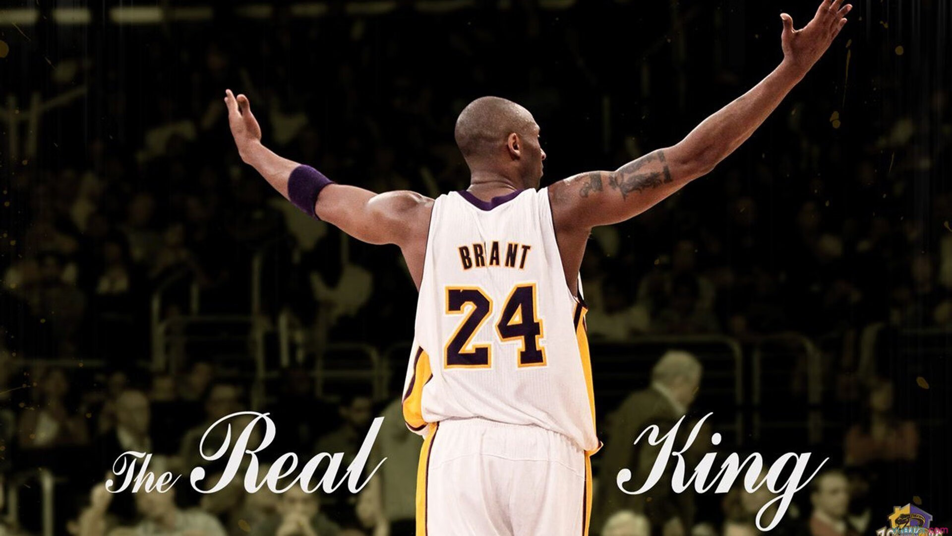 逆境中奋起:伤病困扰球队的坚韧与拼搏